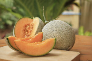 Noord Amerikaanse Cantaloupe Meloen