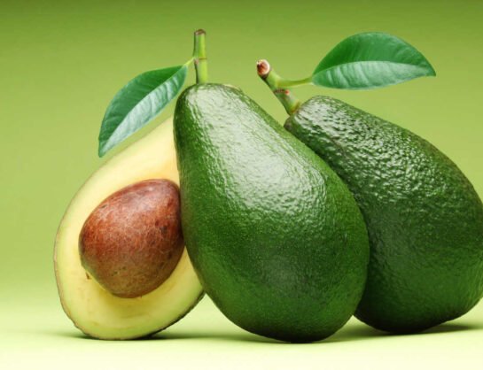 aguacate 3