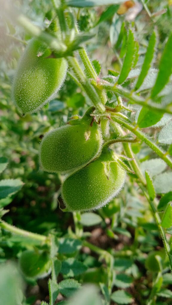 shutterstock 1932552062 2